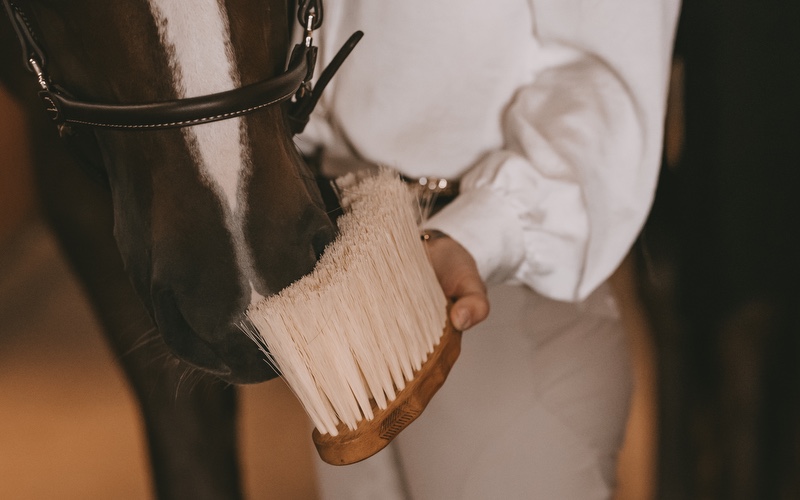 Pferdebürsten Grooming Deluxe Pferdebürste an Pferdenase