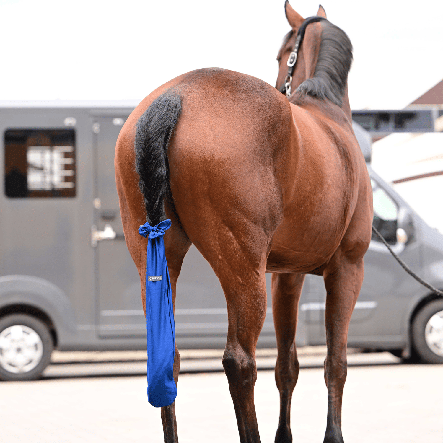 Schweifschoner Clean