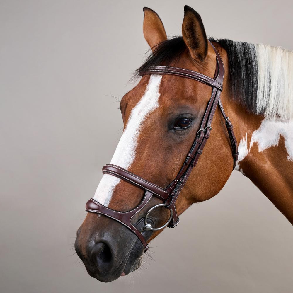 Trense mit Doppelreithalfter US