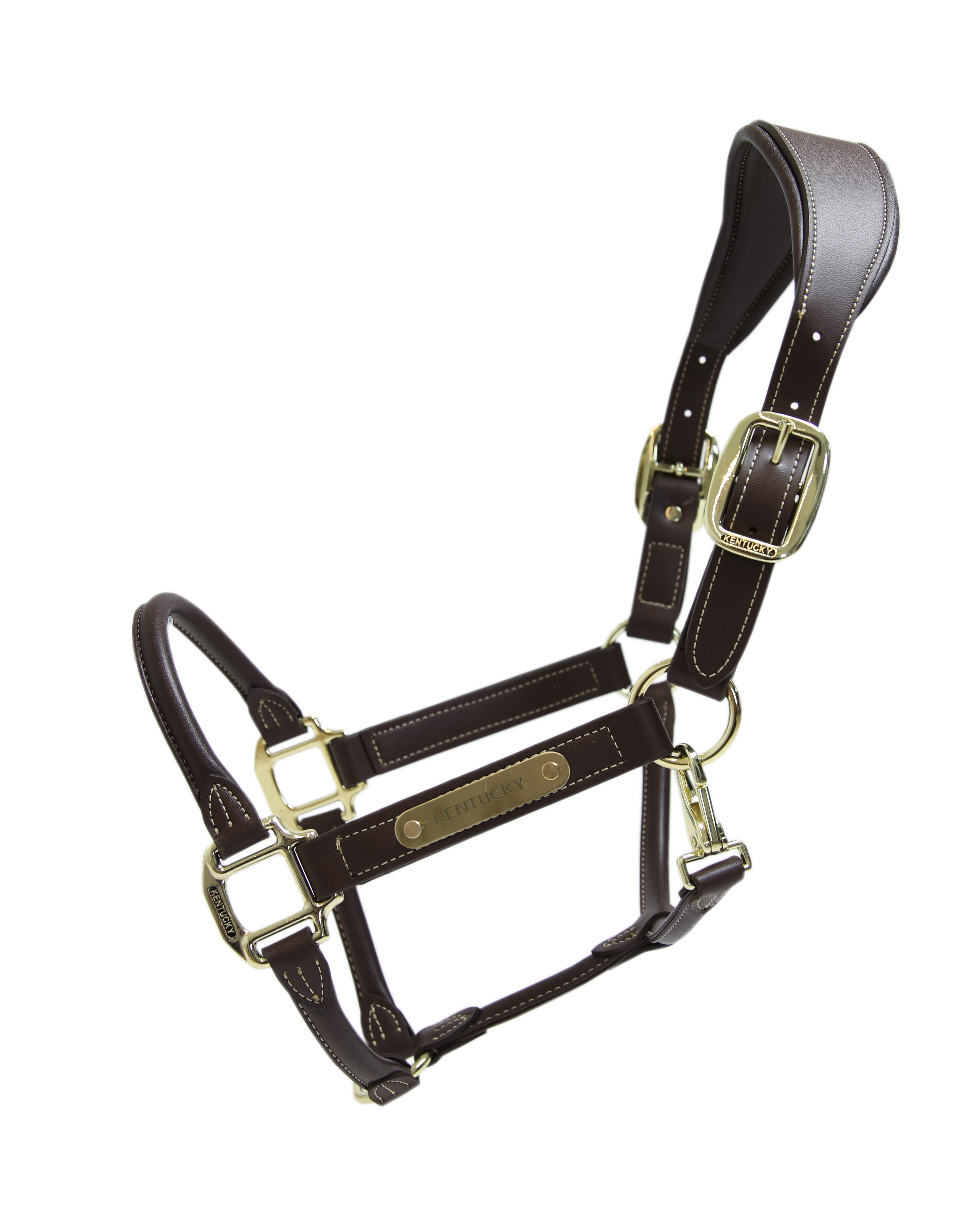 Halter Anatomical Leather