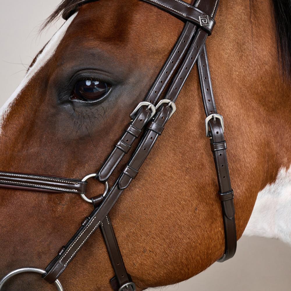 Trense mit mexikanischem Reithalfter WO