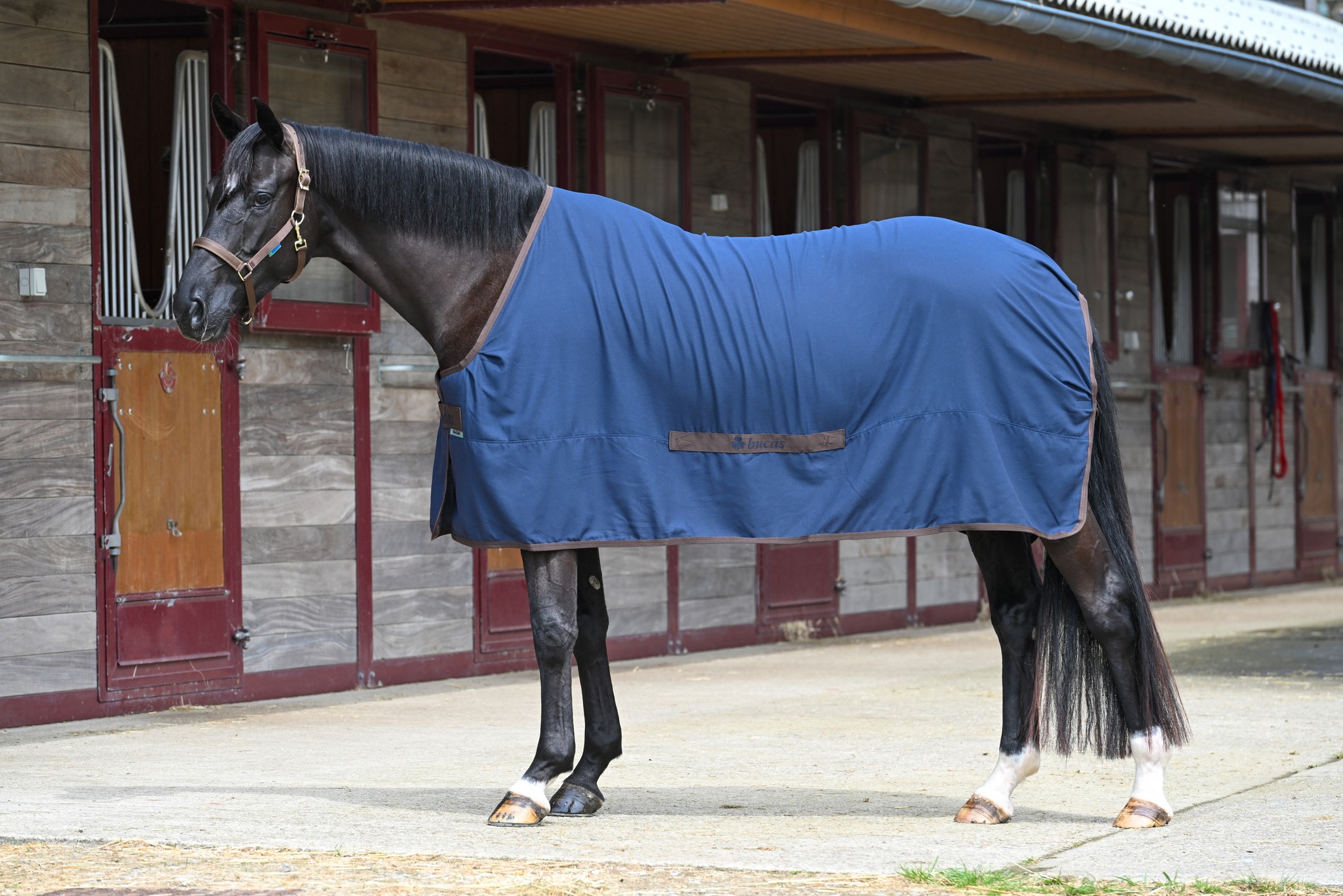 Stalldecke Cool Sheet Linen in Navy/Coffee