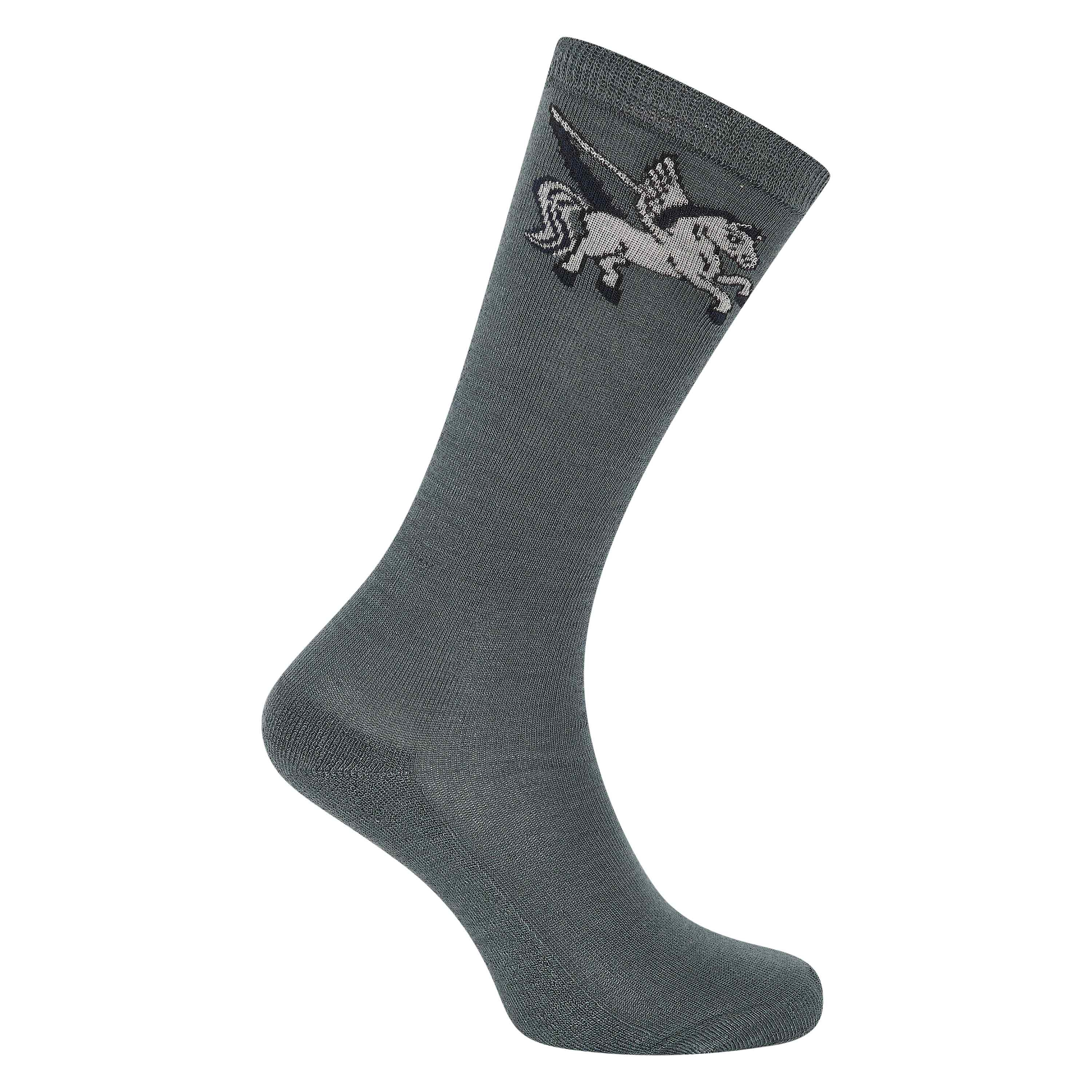 Socken Pegasus