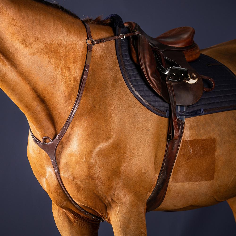 Vorderzeug mit Brücke