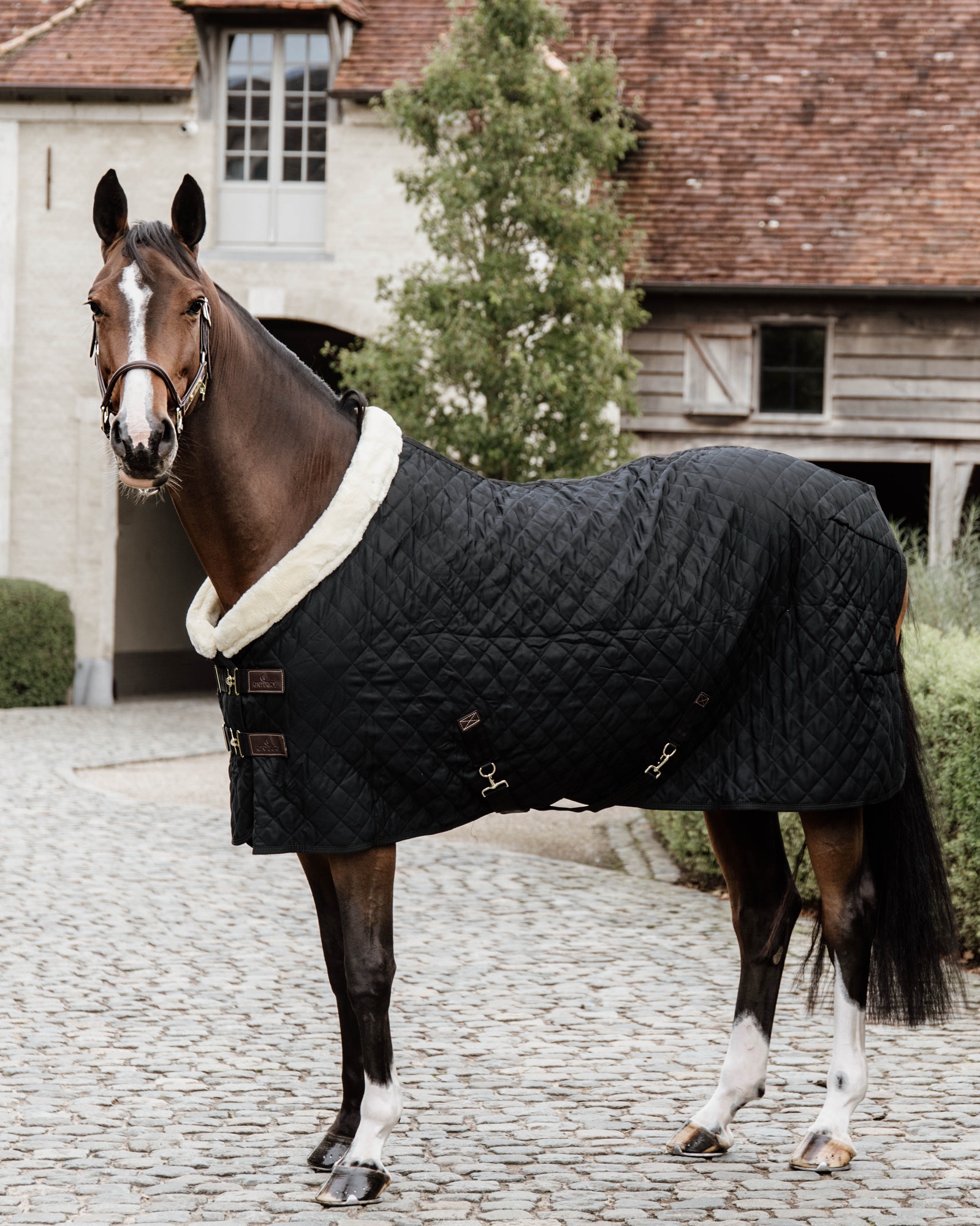Show rug Show Rug 160g