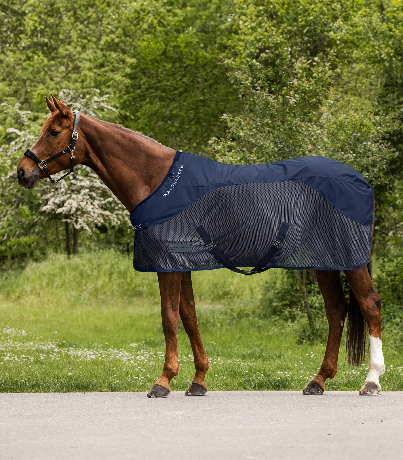 Comfort rain fly rug