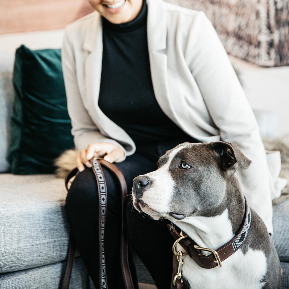 Hunde Leine Handgemacht Pearls | Kentucky Dogwear