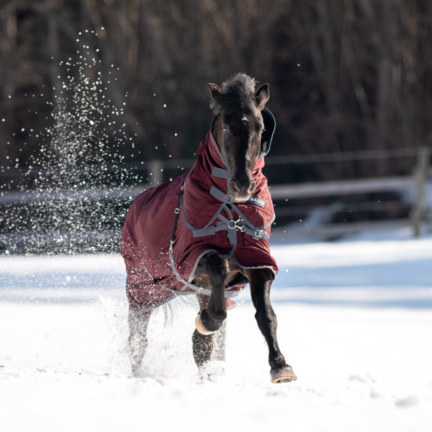 Outdoordecke Flexible Pro 250