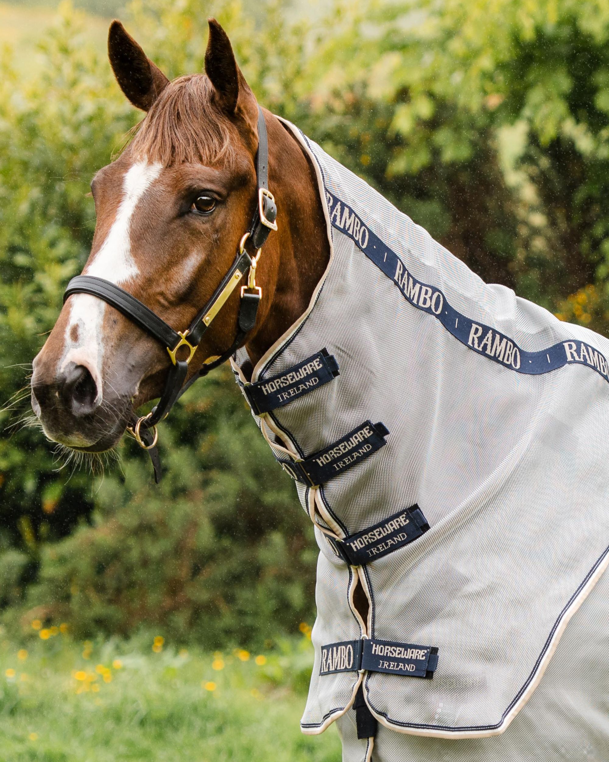 Rambo fly rug in silver/navy/white