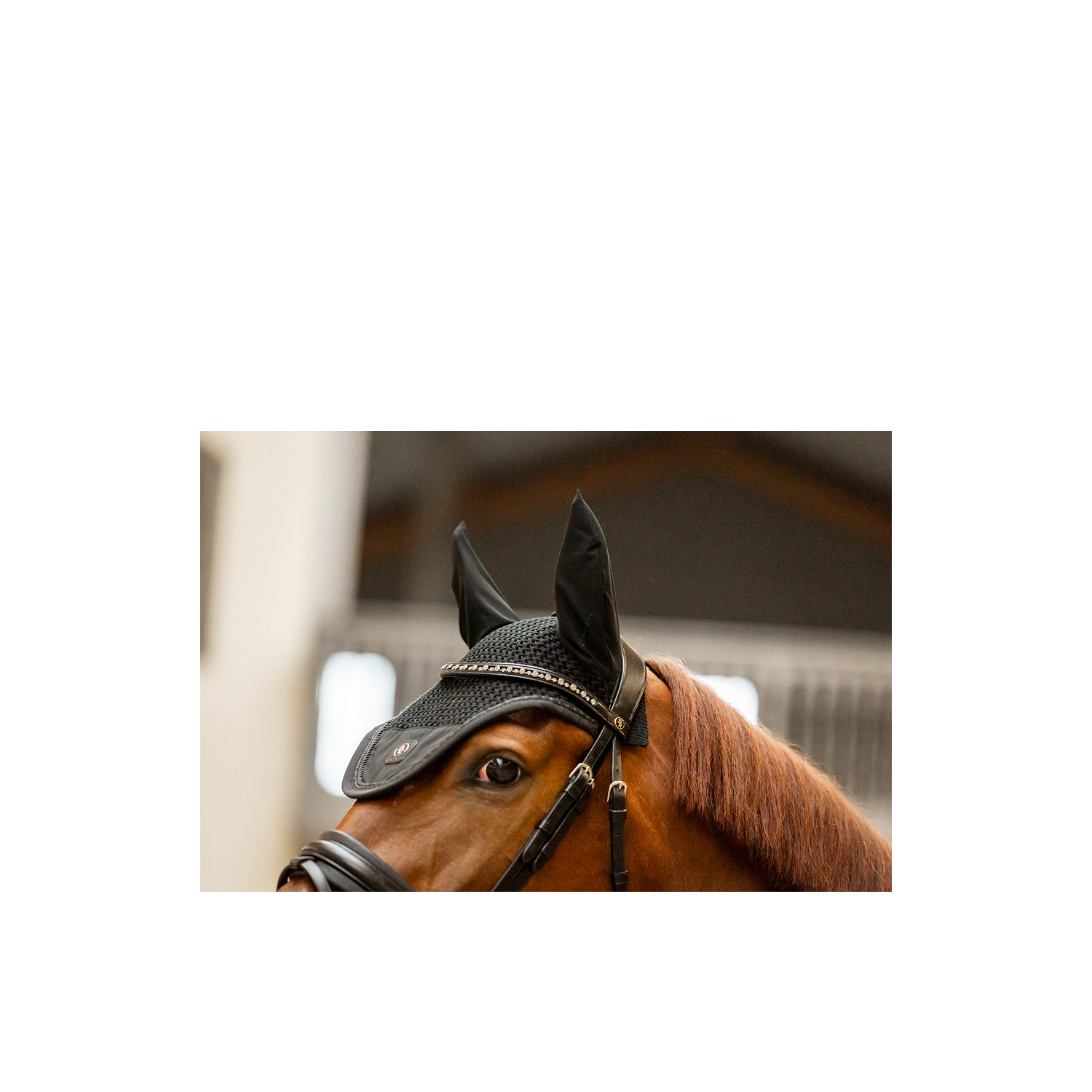 CLX Ohrenhaube