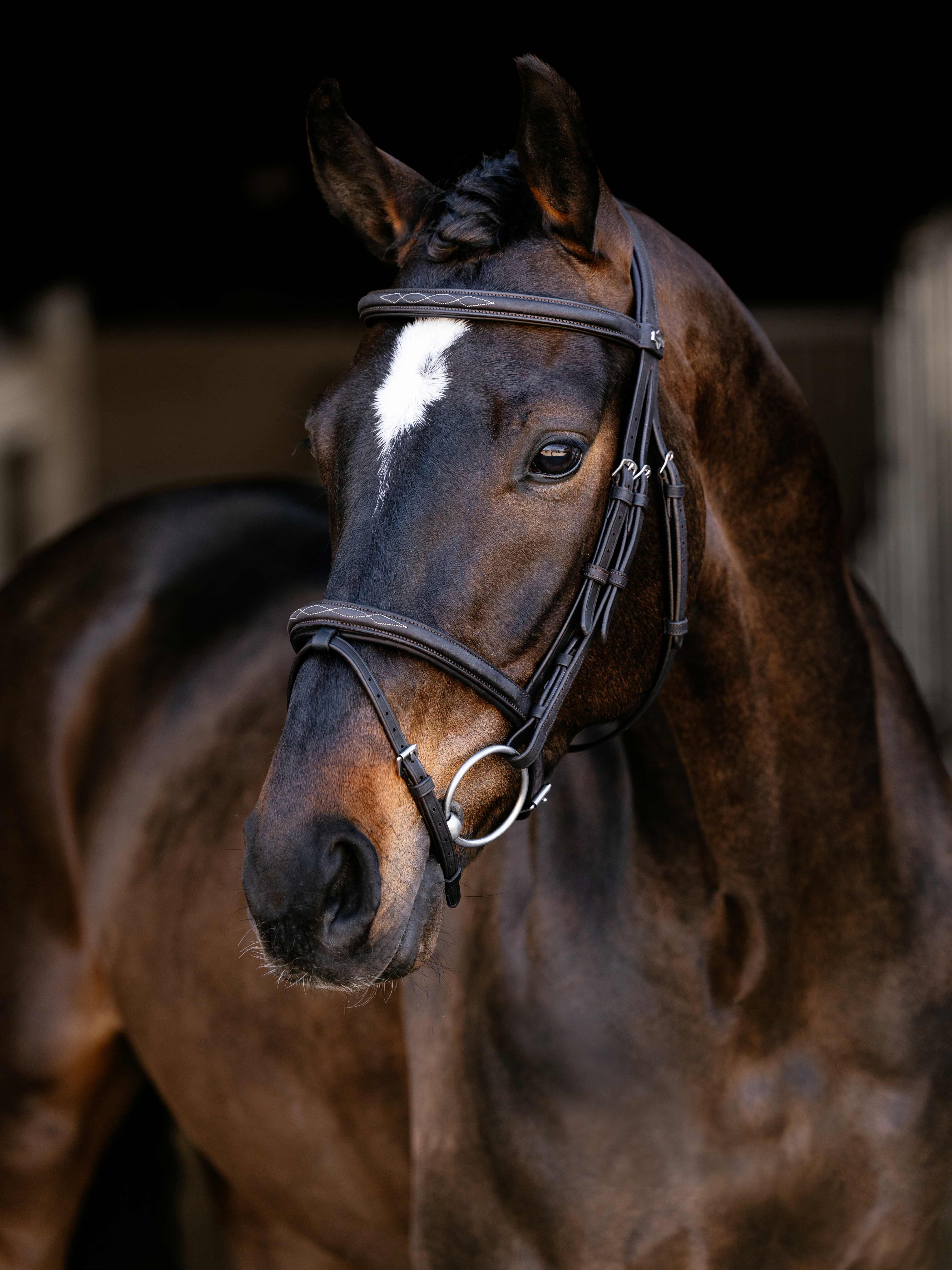 Arika Classique Flash Trense