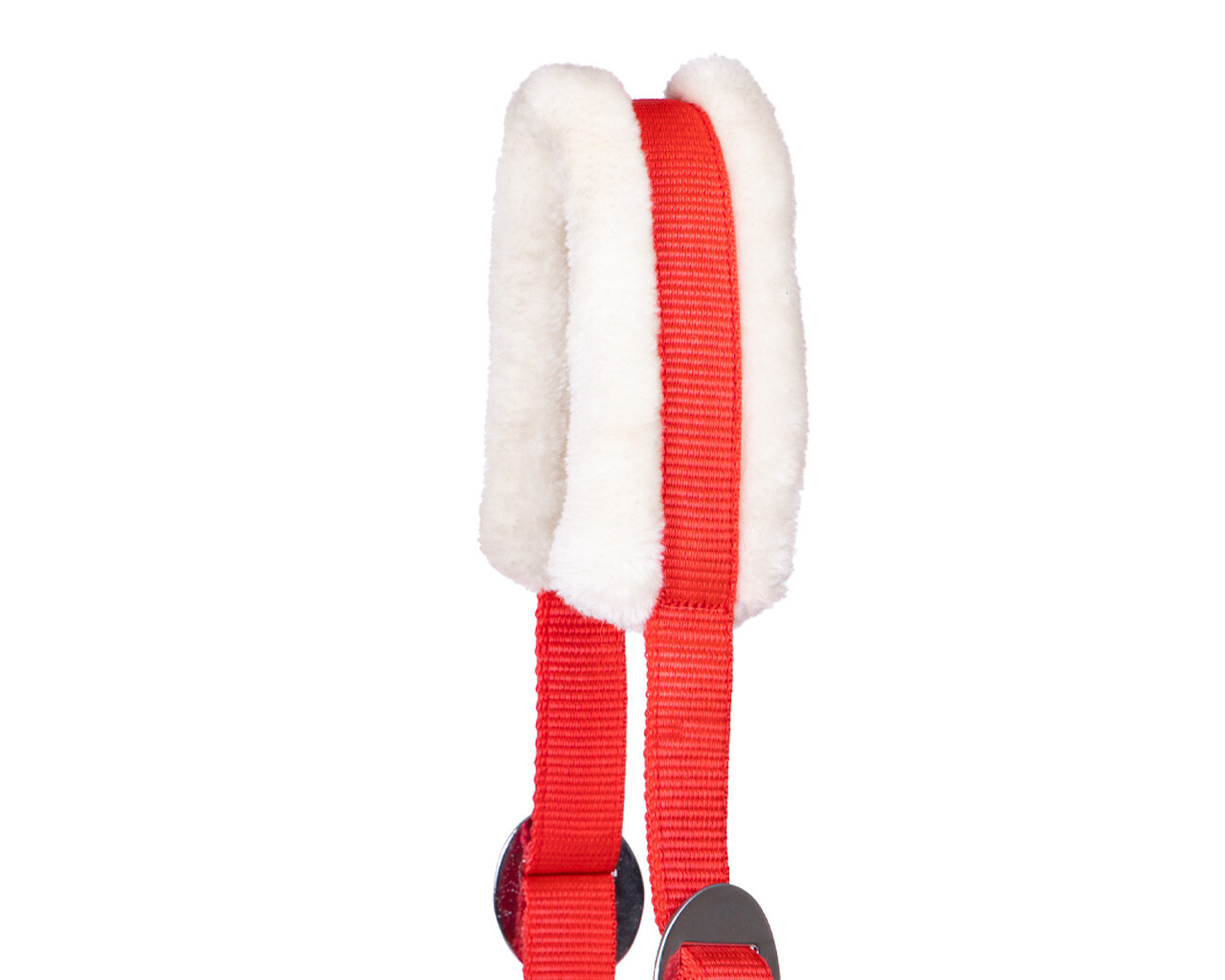 Halfter Cali Zugpferd