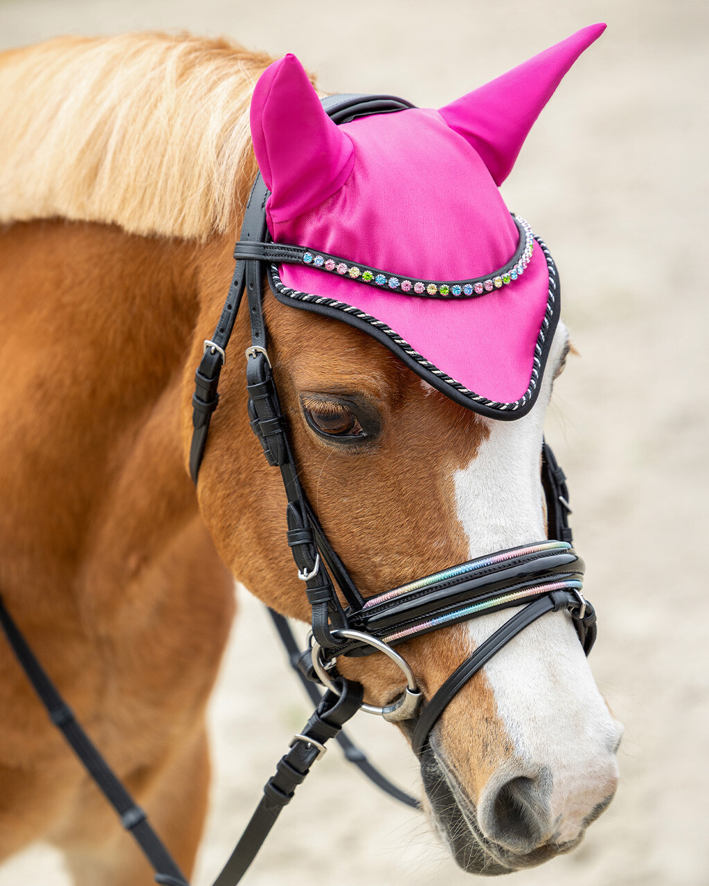 Snaffle bridle Isalyn in black