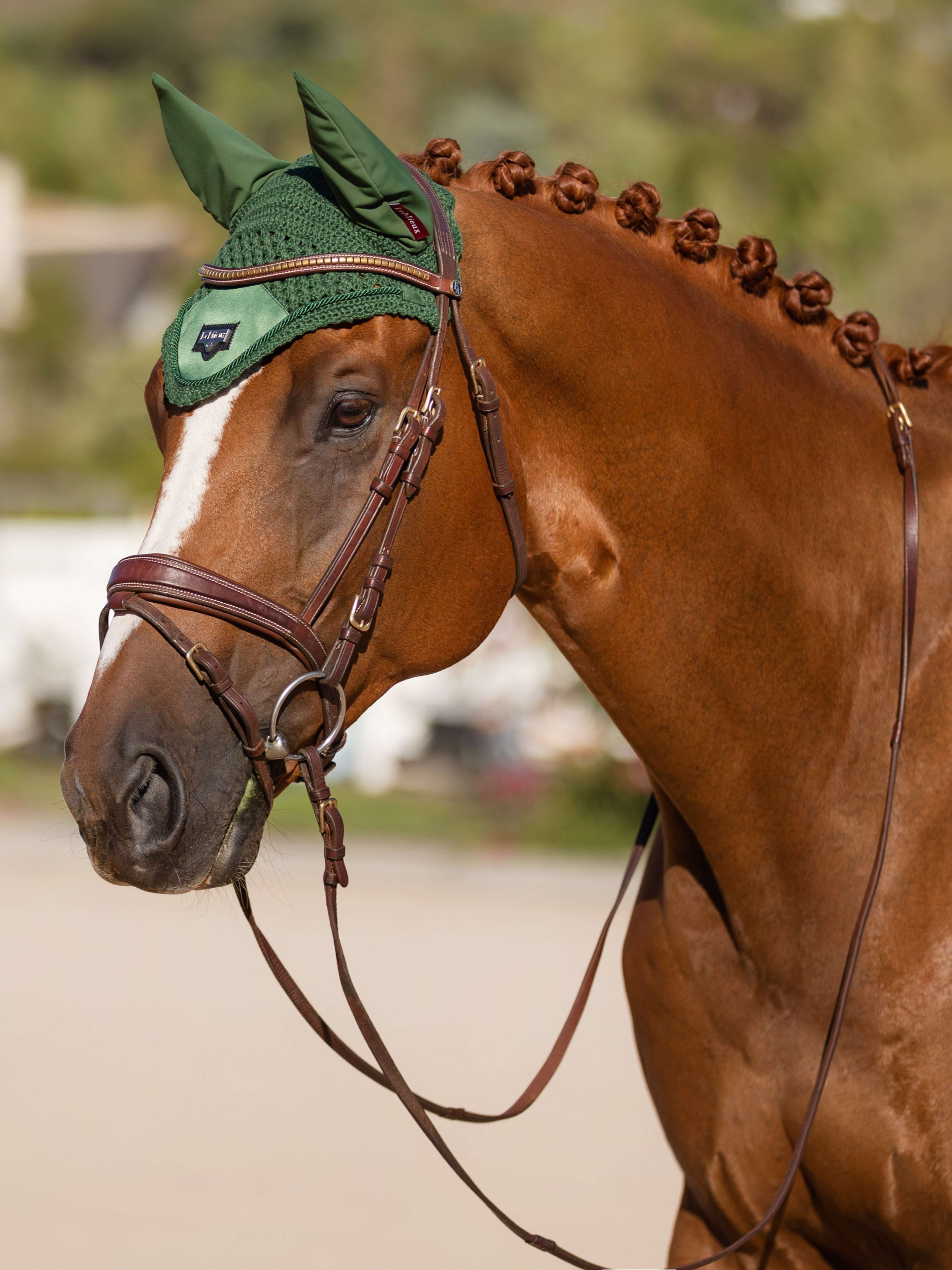 Loire Fliegenhaube