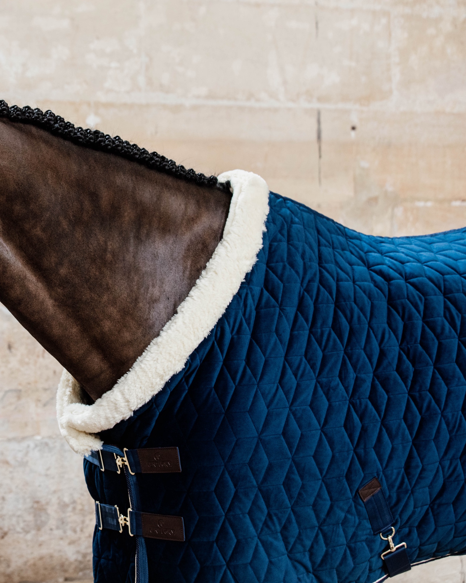 Show rug Show Rug Velvet 160g