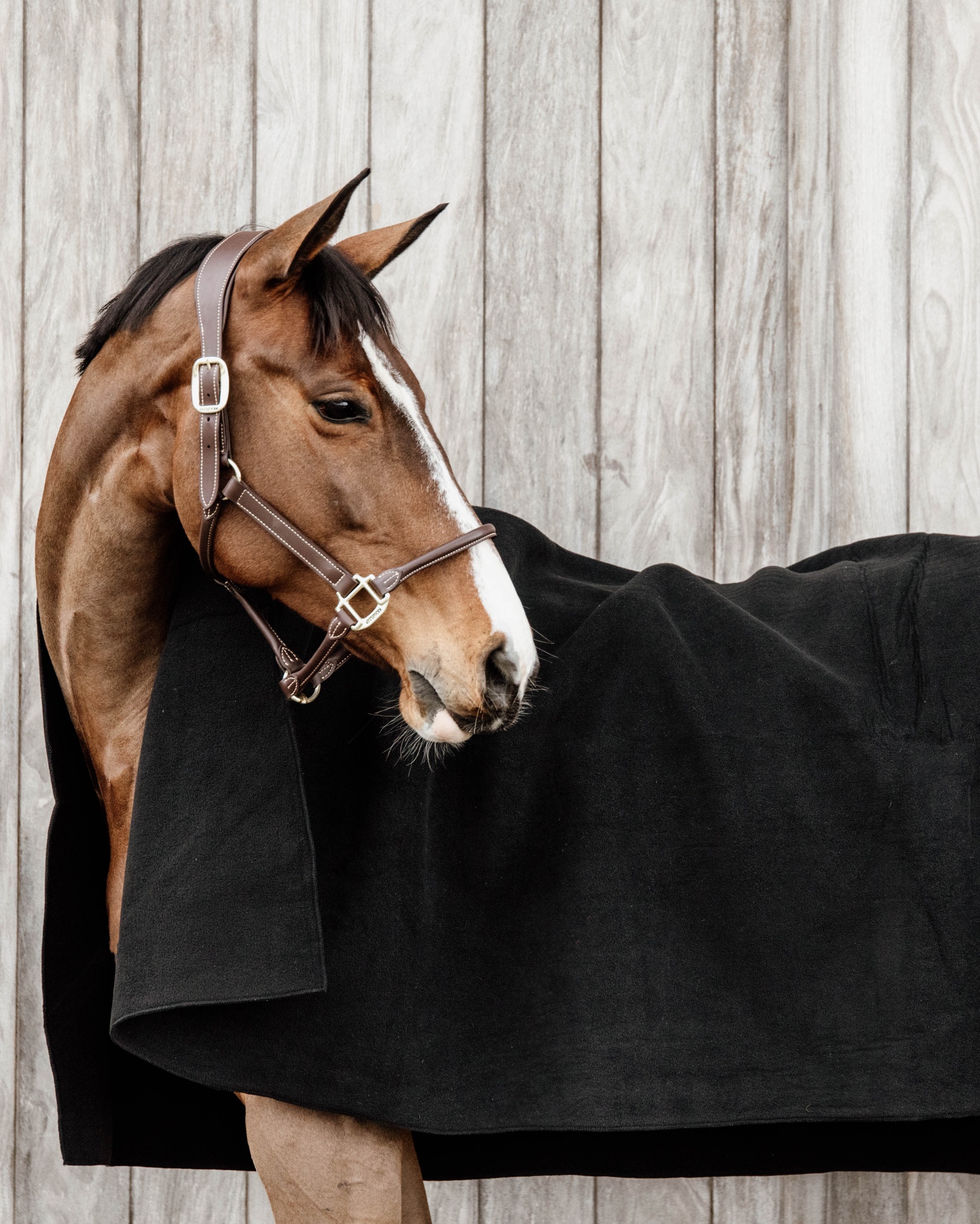 Square Heavy fleece blanket