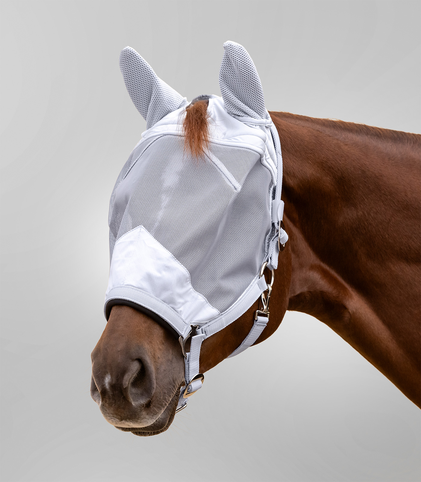 Premium fly mask with halter, with ear protection
