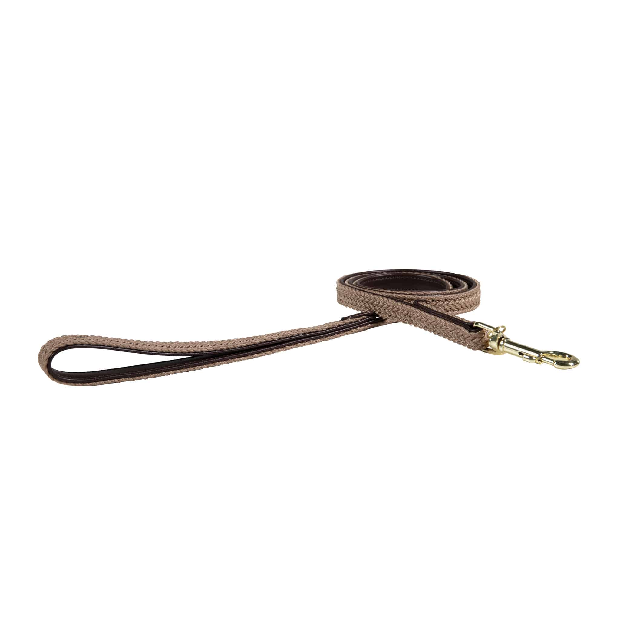 Nylon braided dog lead