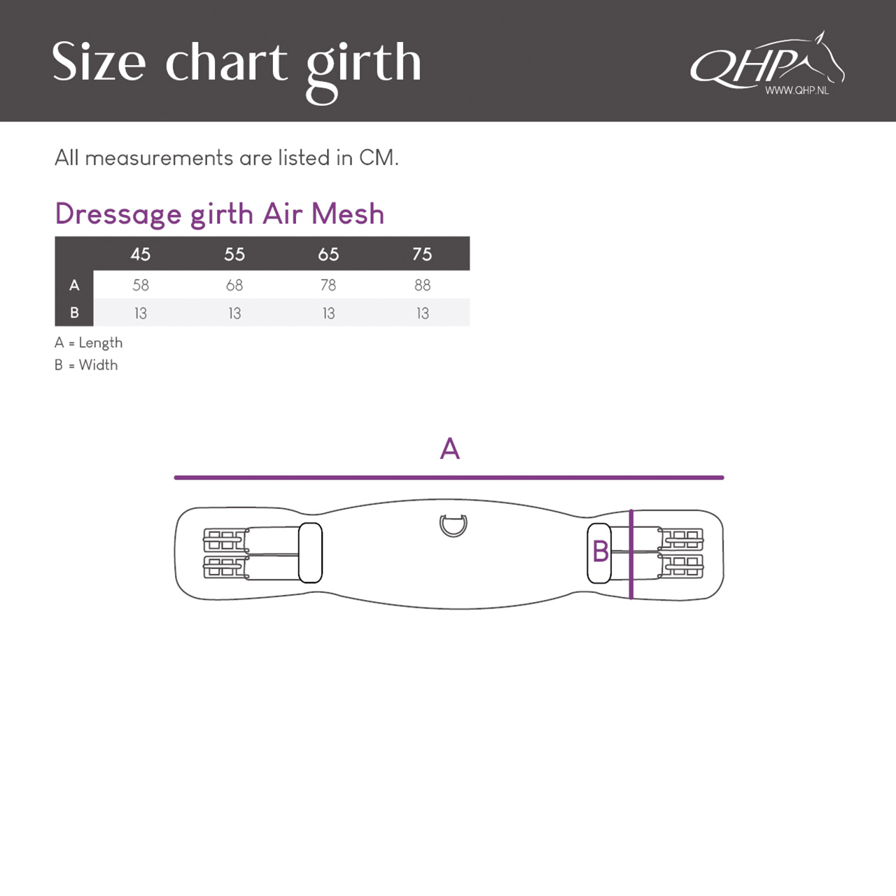 Dressurgurt Air Mesh