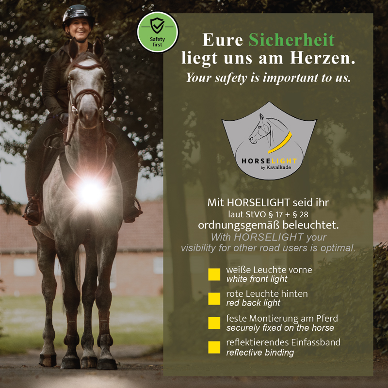 Breastplate "Horselight"-white front light