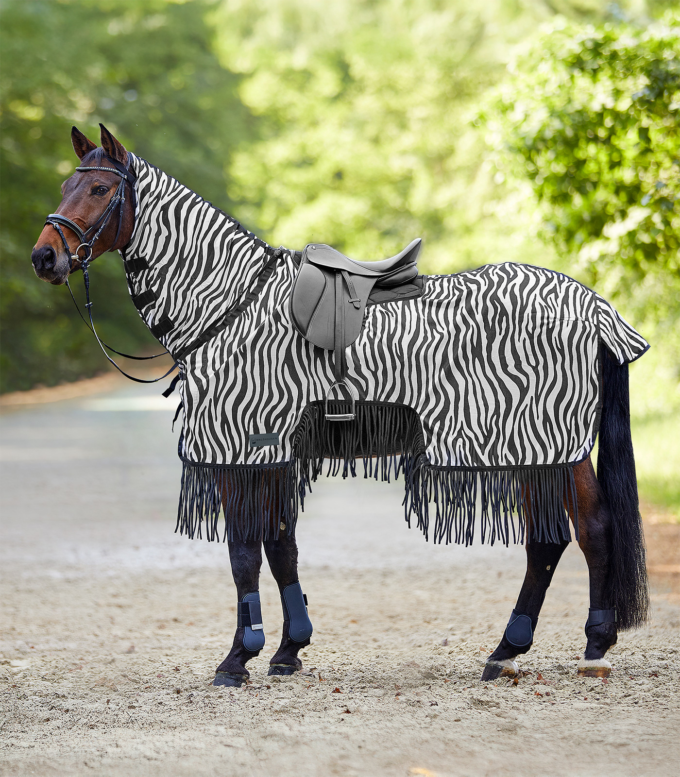 Fliegenausreitdecke Zebra mit Fransen