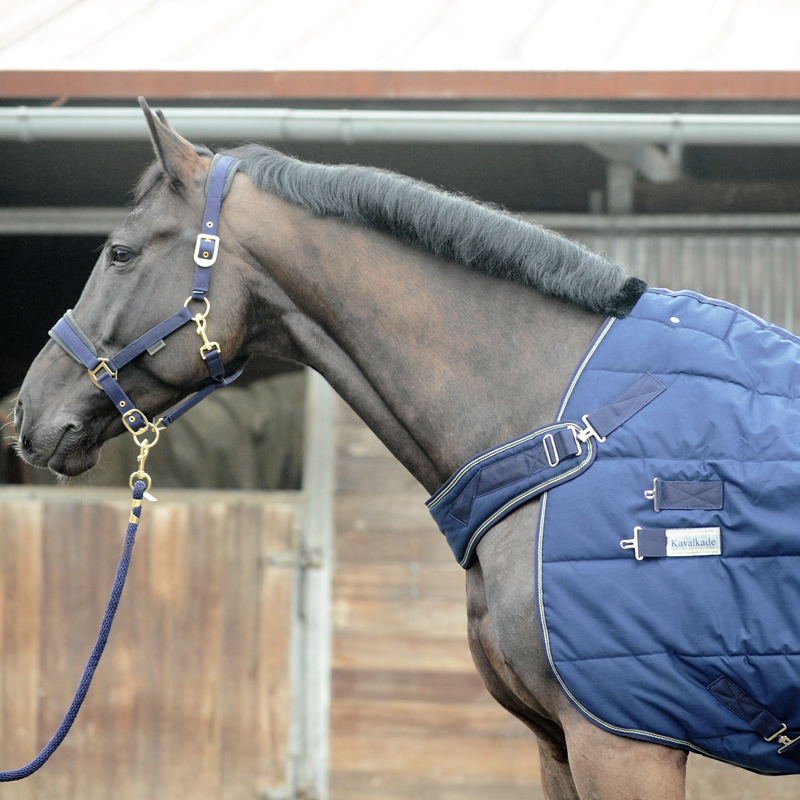 "Halifax" 2in1 Stall- und Führanlagendecke 400g