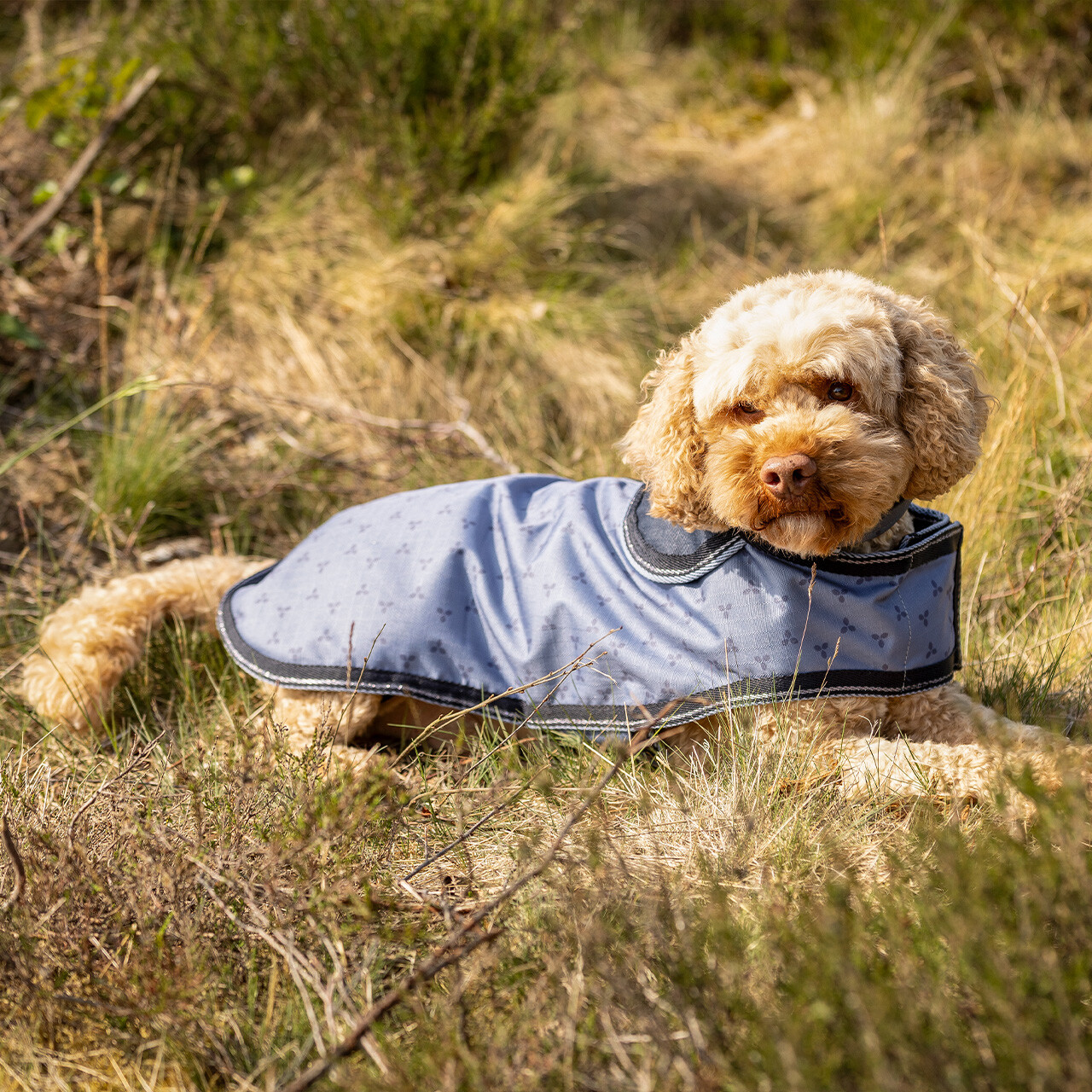 Hundedecke Turnout Collection
