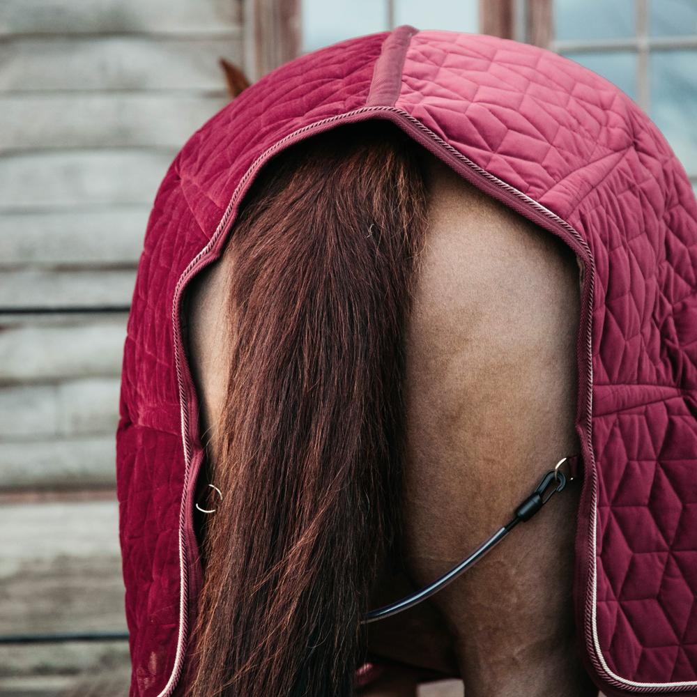 Couverture de concours Show Rug Velvet 160g