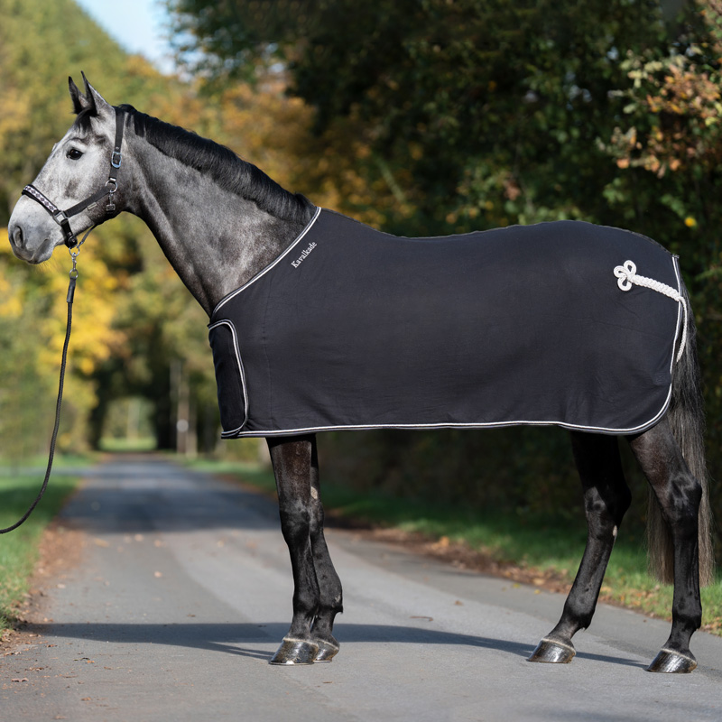 Fleece sweat rug with bib - removable