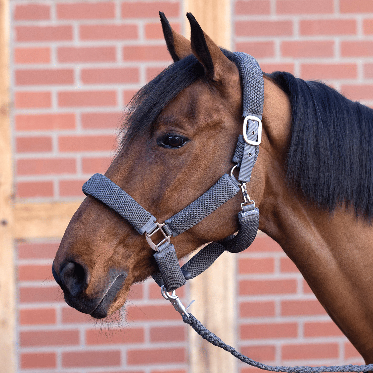 Halfter 3D Air Effect Plus Halfter 3D Air Effect Plus