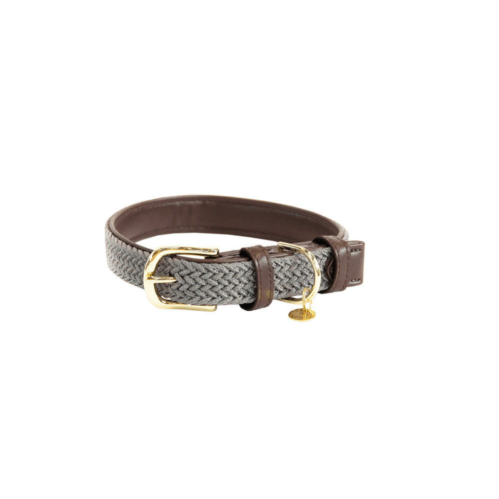 Collier de chien tressé en nylon