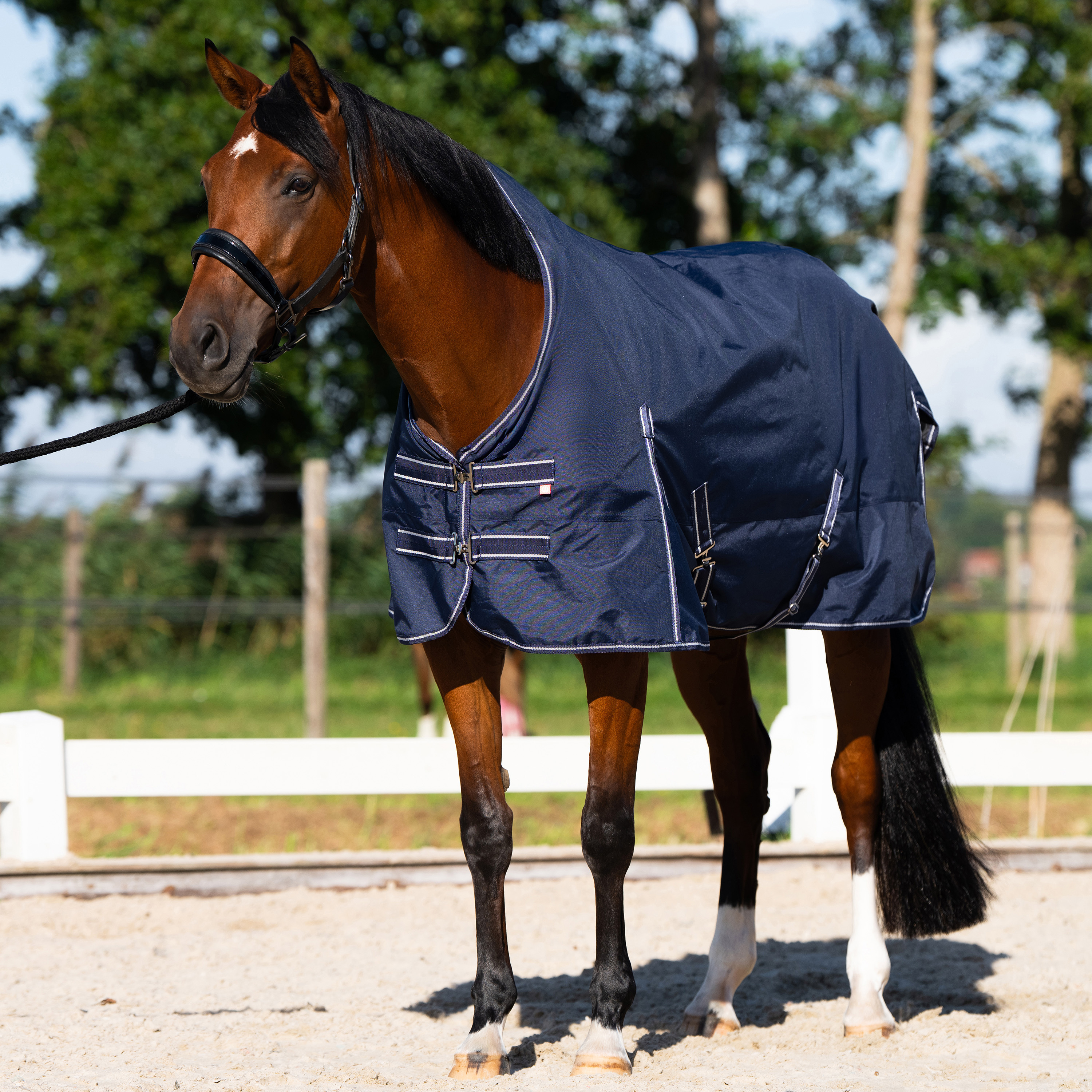 Outdoordecke Basic mit hohem Halsteil Sommer