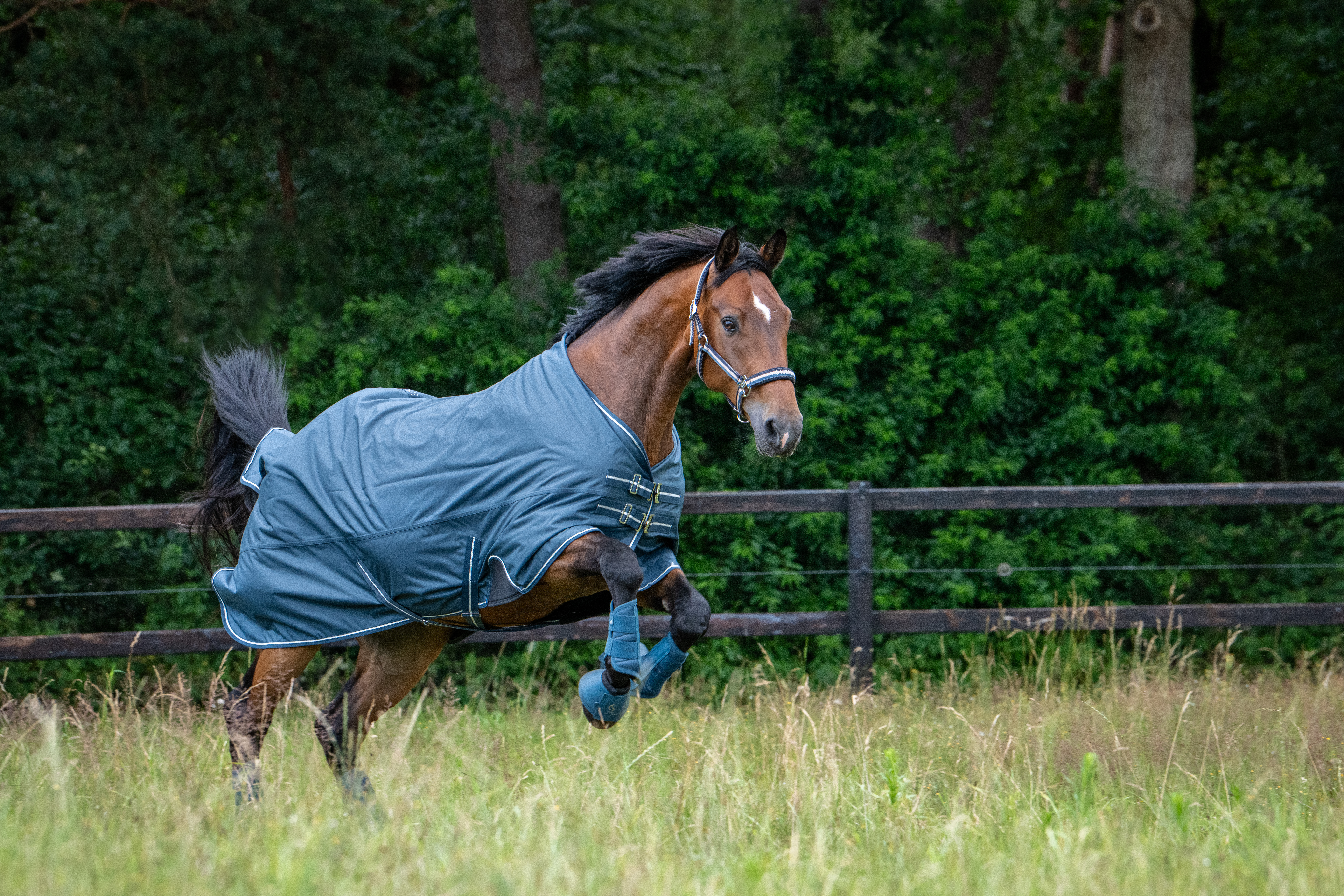 Gamaschen Classic Sports Mesh