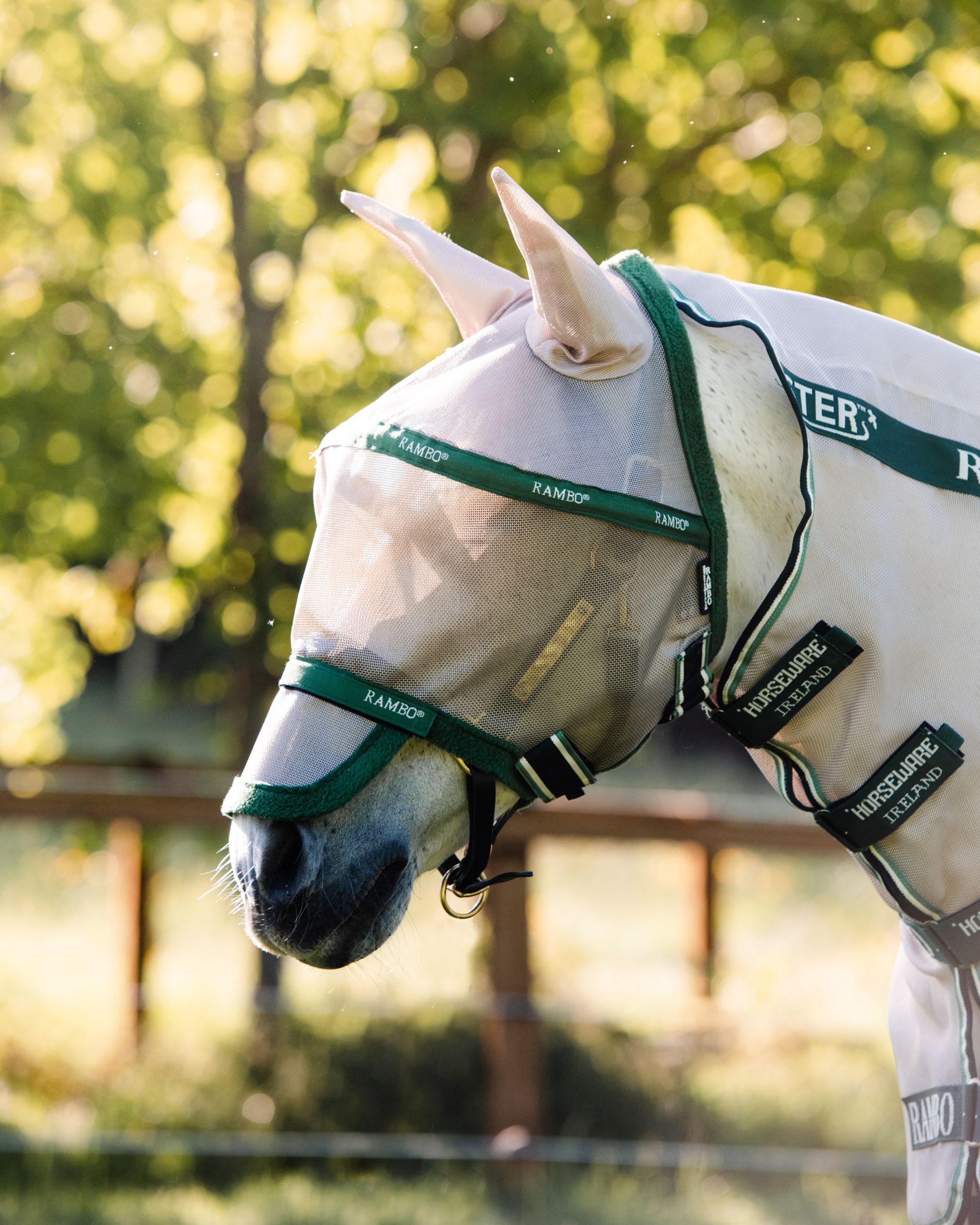Fly mask Rambo Flymask Plus non treated