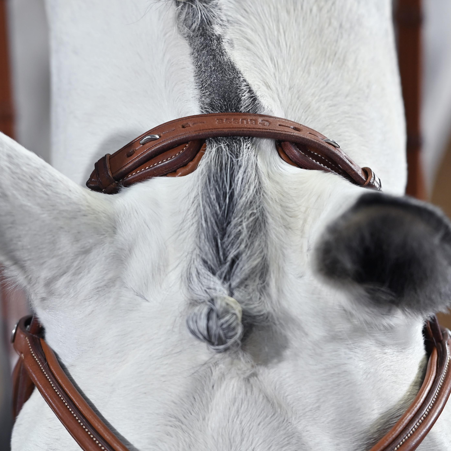 Trense Take-Off Line AD