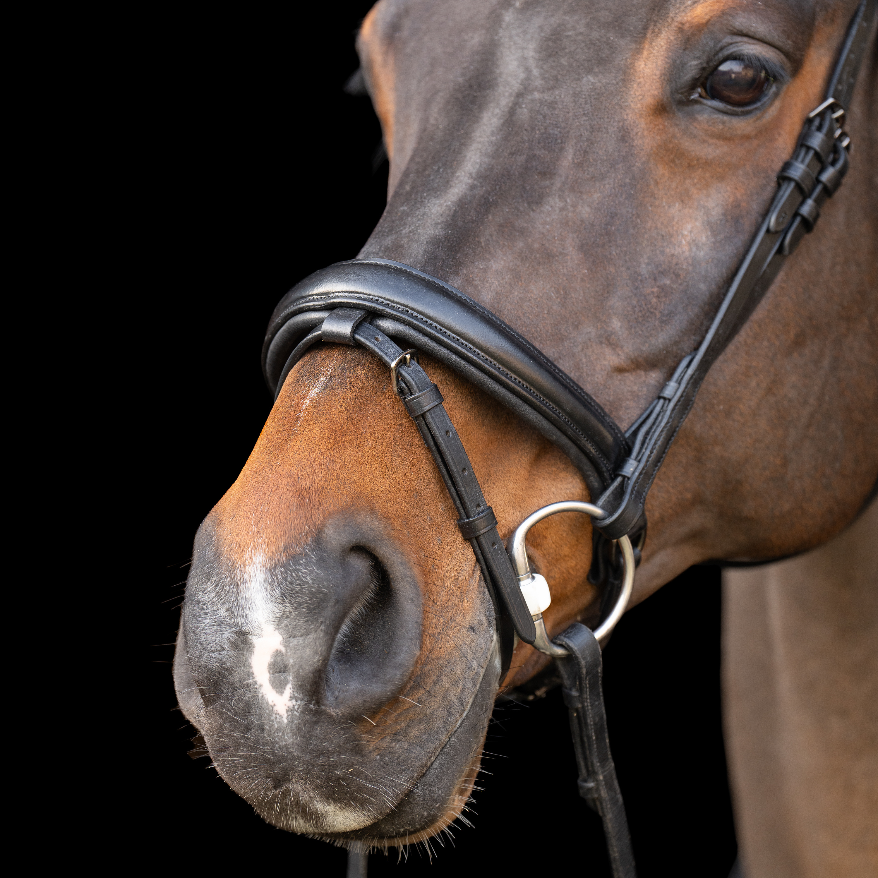 Snaffle bridle with English noseband