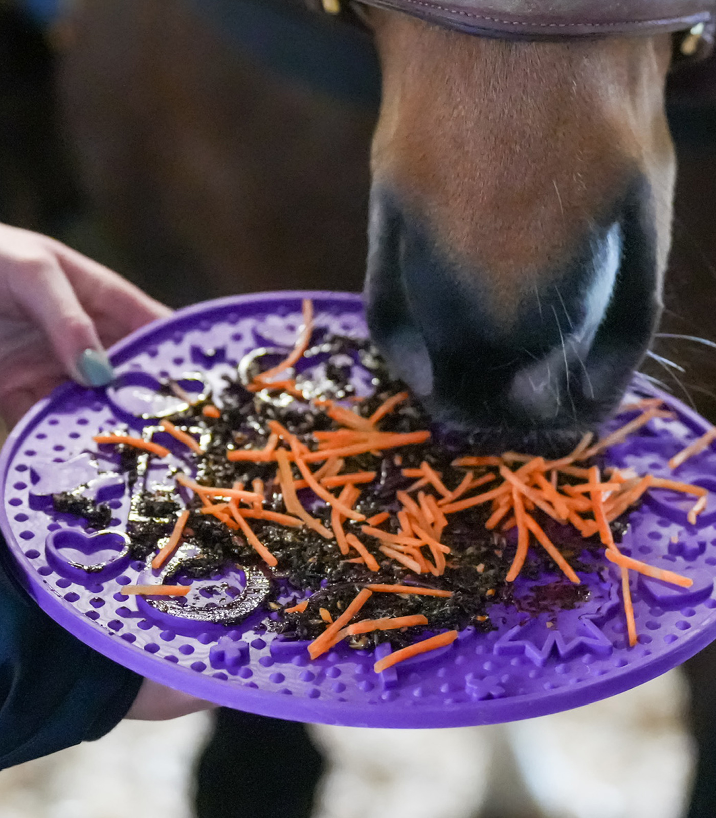 Likit Graze Maze licking mat