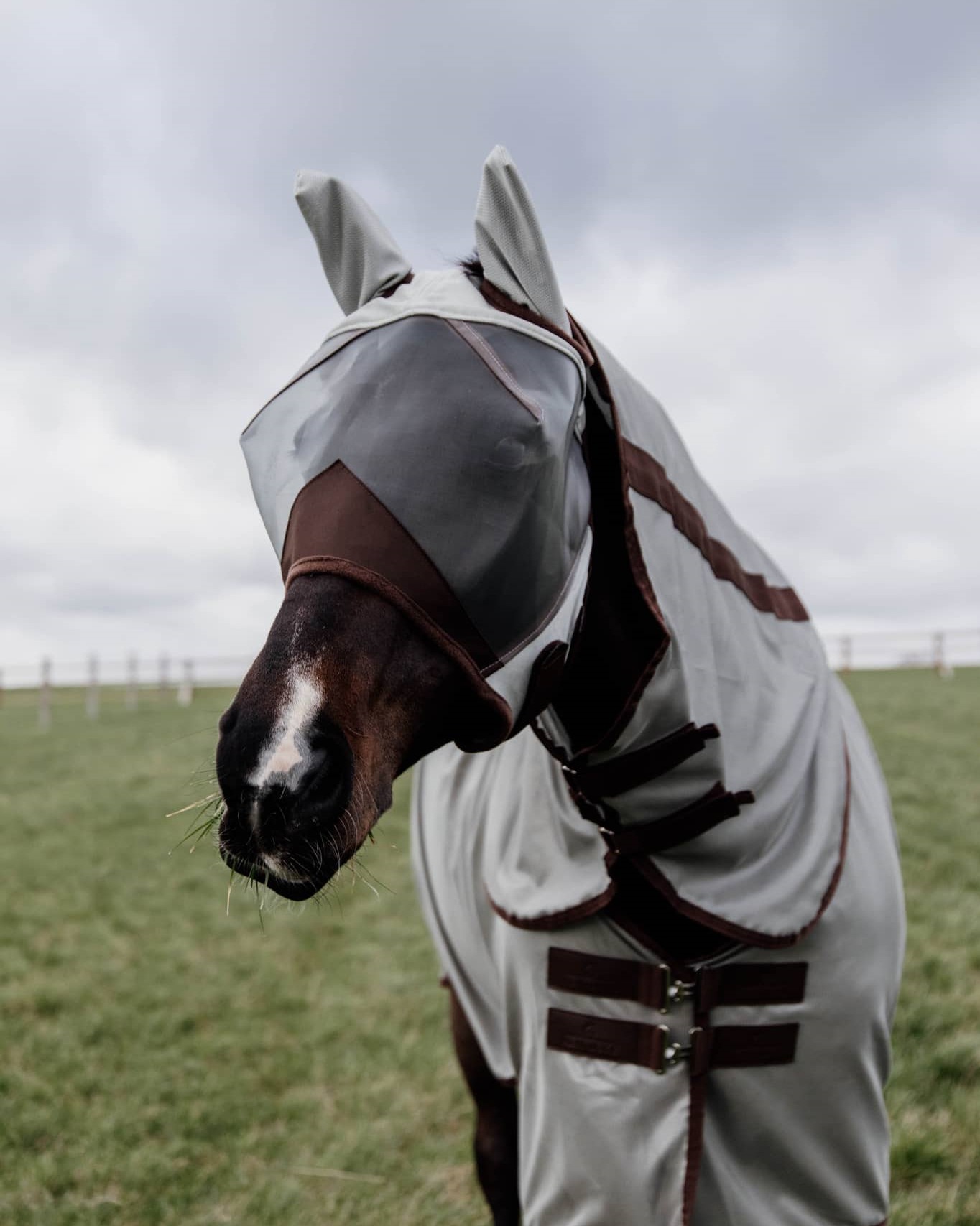 Classic fly mask with ears