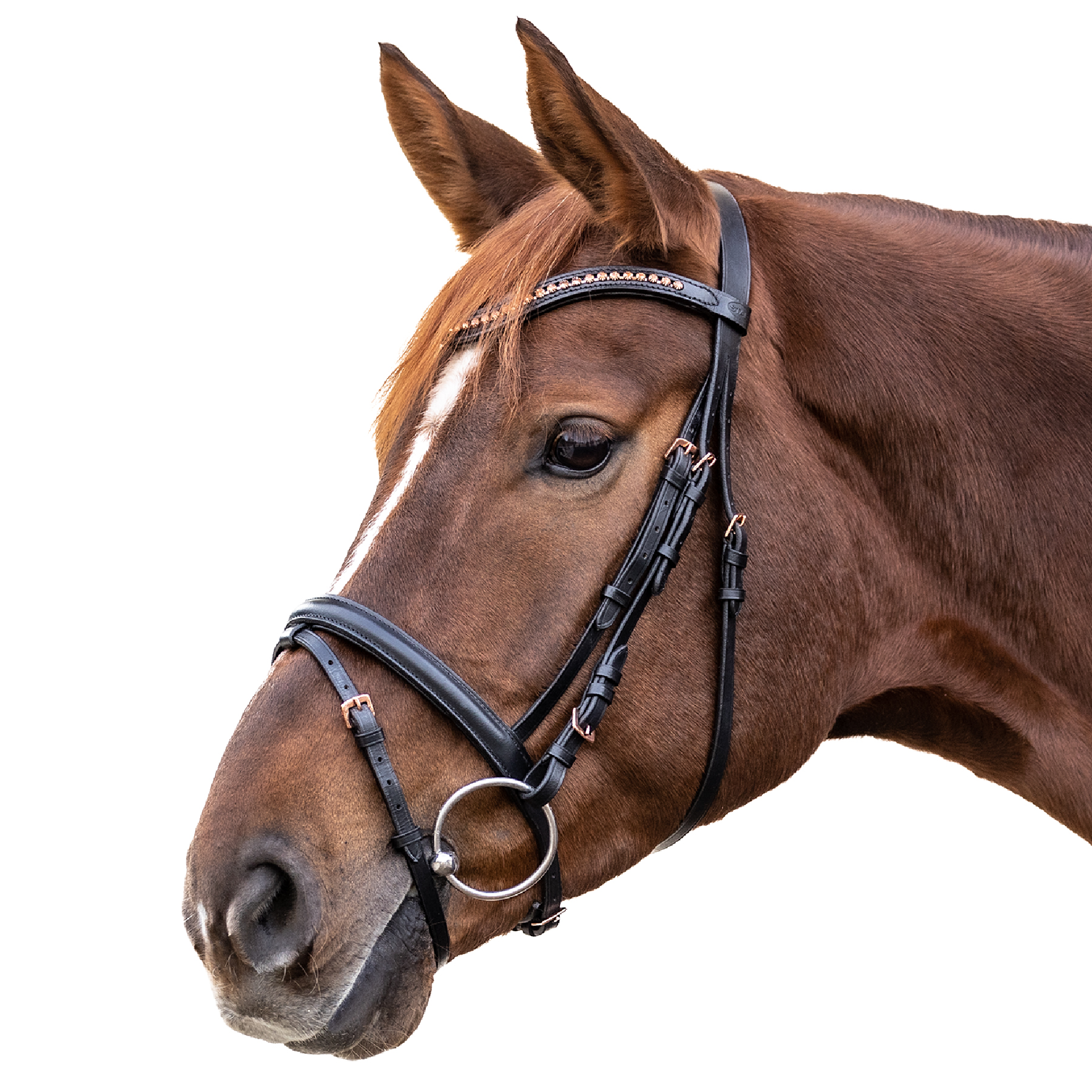 Rosemary snaffle bridle