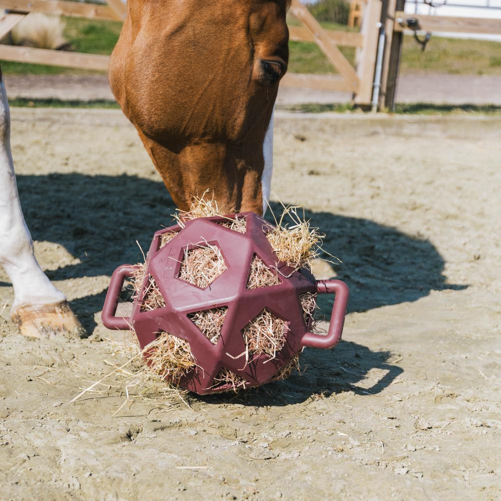 Relax horse game & hay ball