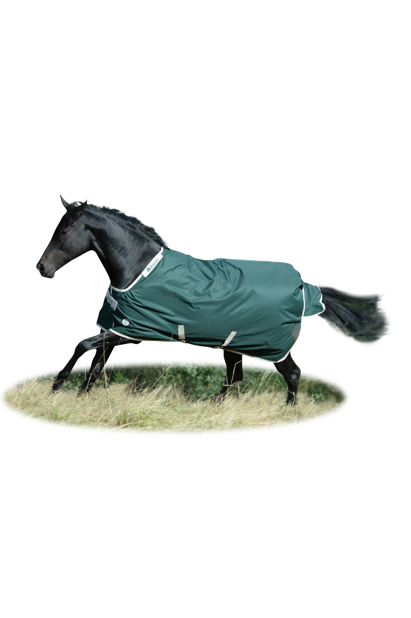 Outdoordecke Greenline Turnout 100 g in Green/cream