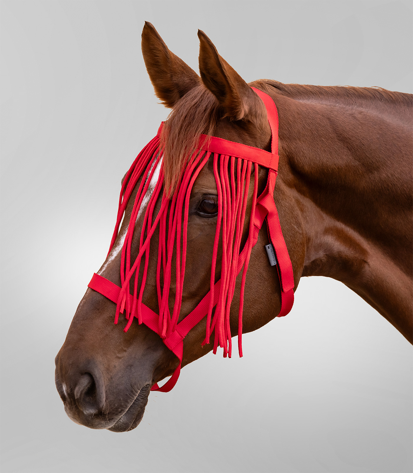 Weidehalfter mit Fliegenfransen