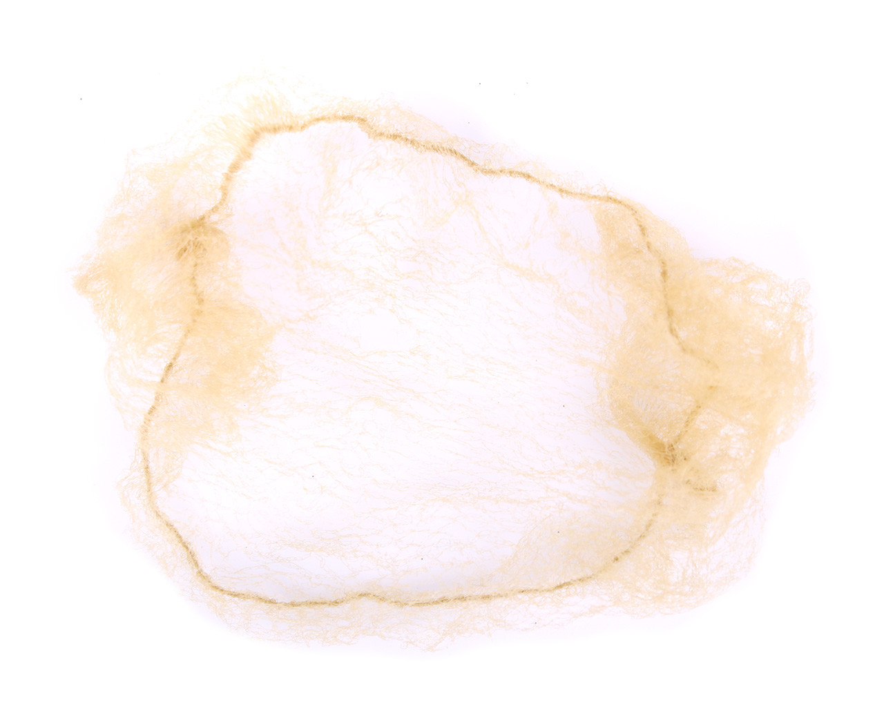 Hairnet cover