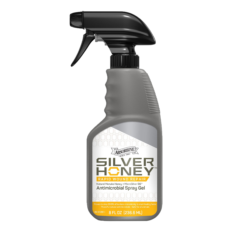 Silver Honey Spray - 240ml