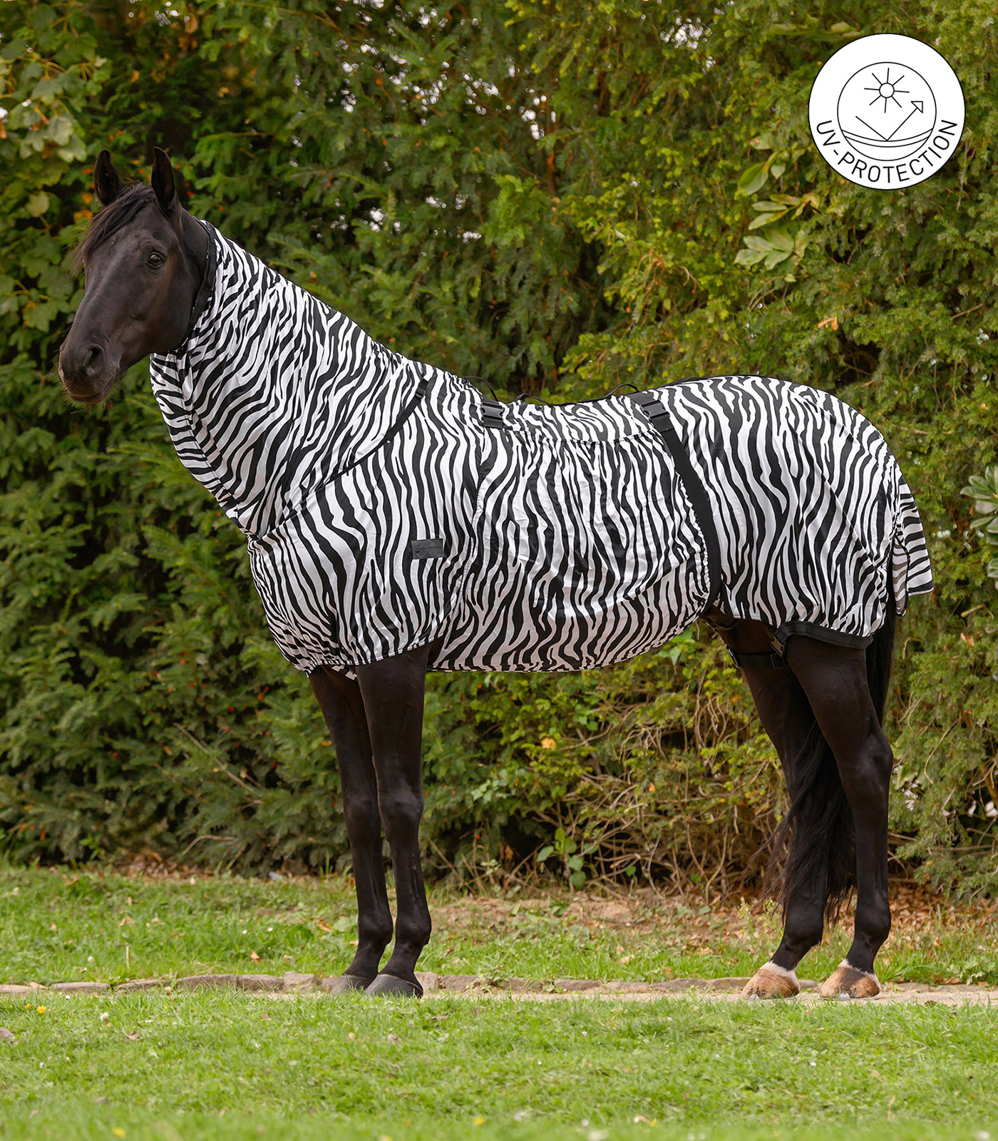 Ekzemerdecke Zebra Basic
