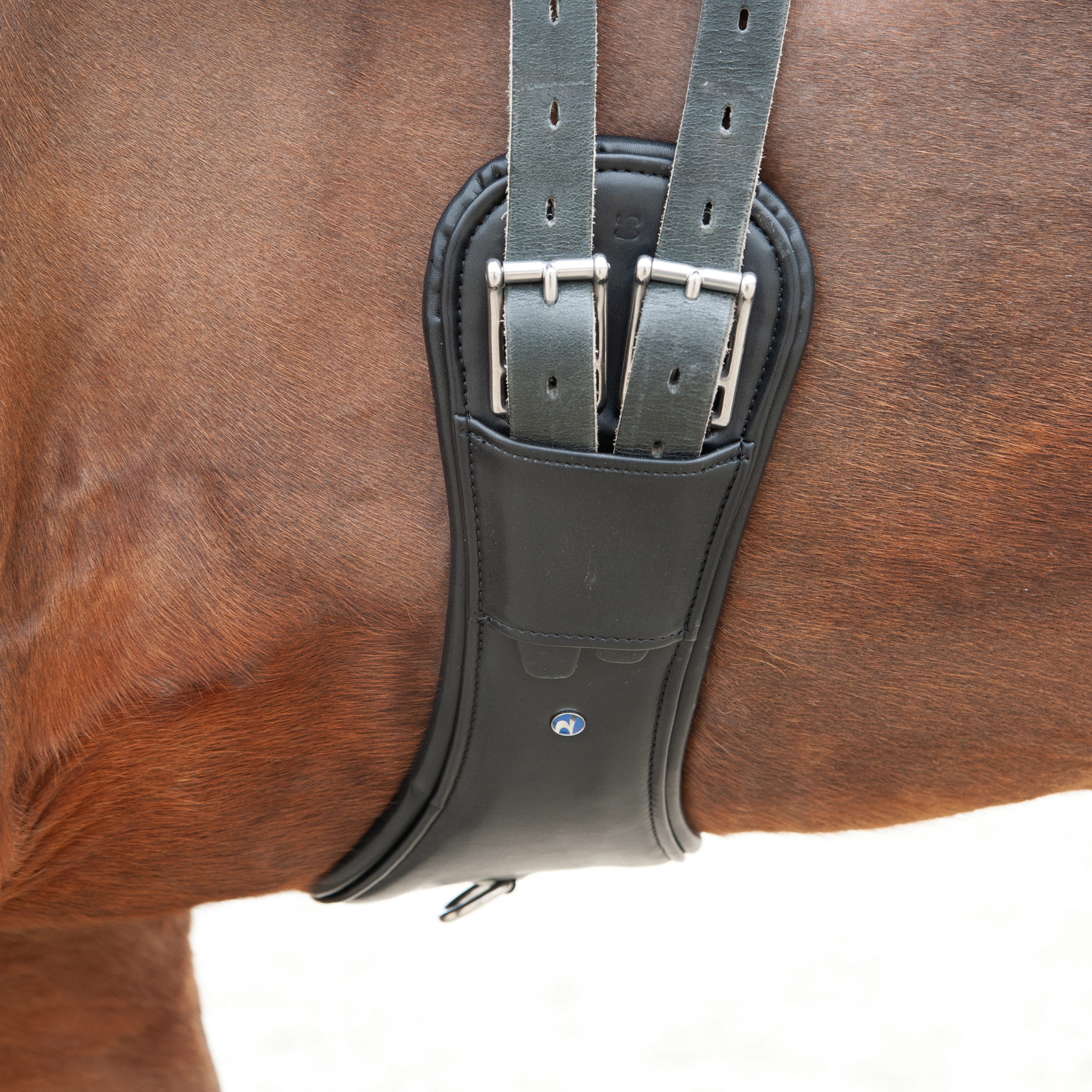 Sangle Turin dressage D