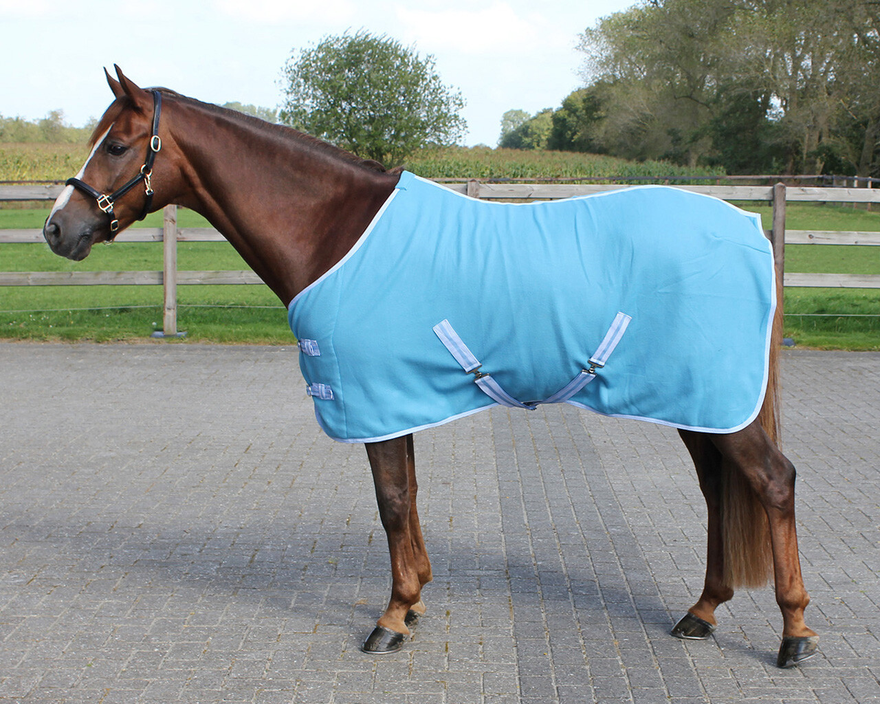 Colour sweat rug with cross surcingles