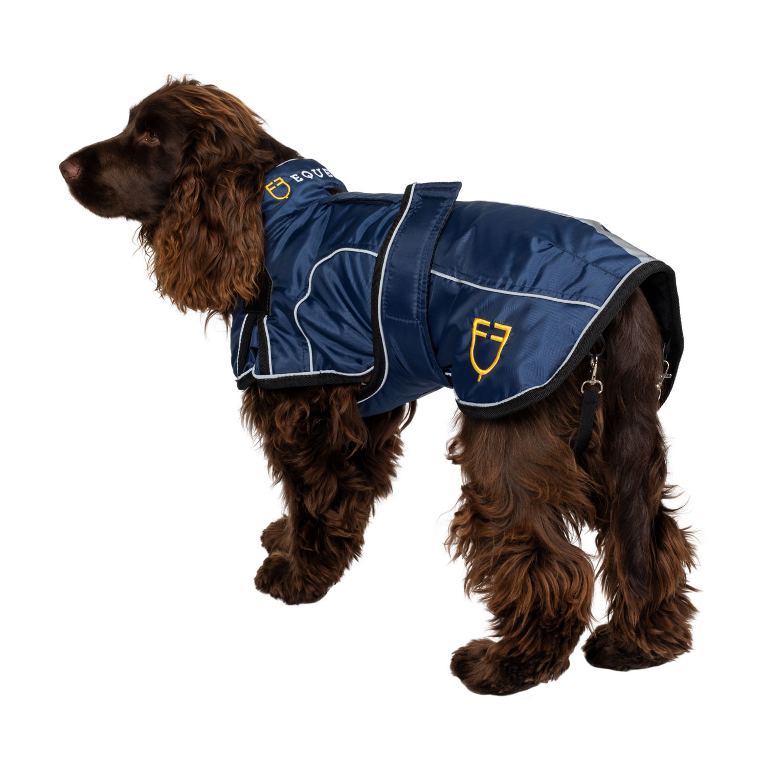 Hundedecke mit reflektierender Paspelierung