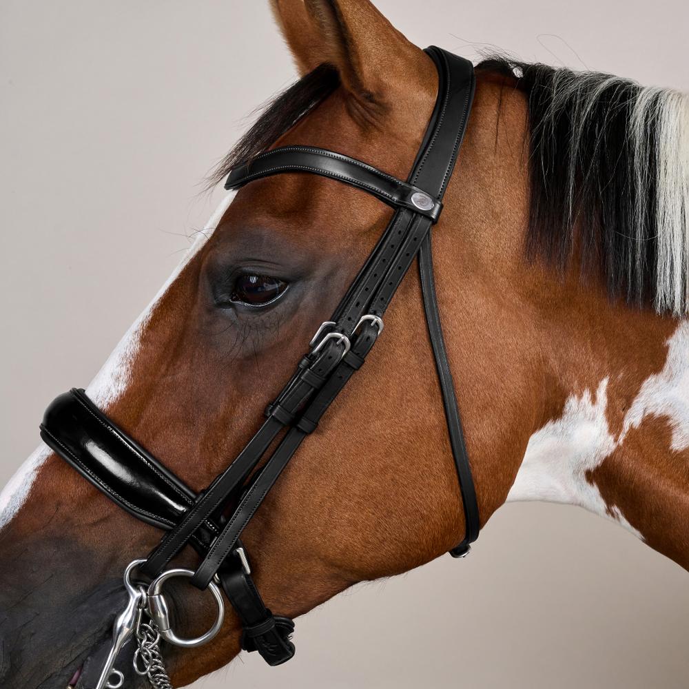 Kandare Working schwedisch Lack in schwarz