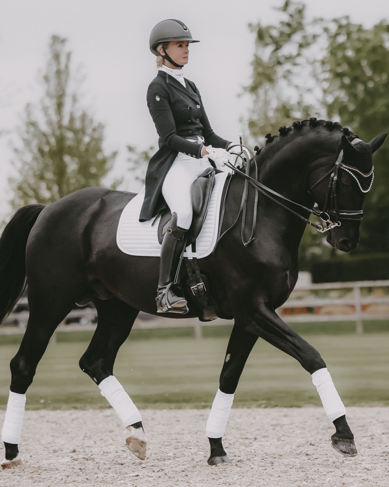 Dressage saddle pad Pearls